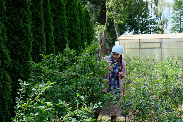 DSCF3568.JPG