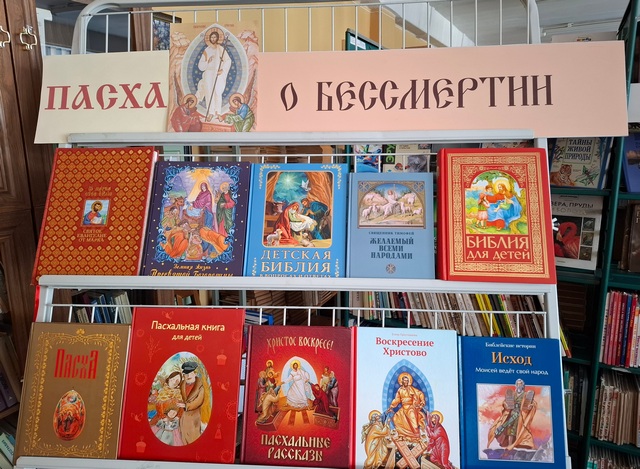 20260403_113513.jpg