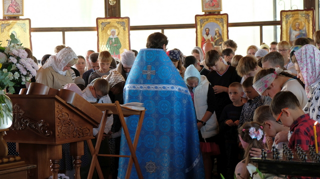 DSCF5390.JPG