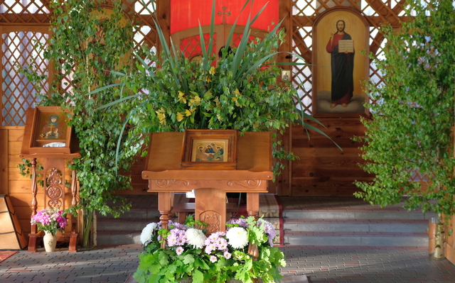 DSCF3769.JPG