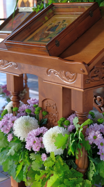 DSCF3741.JPG