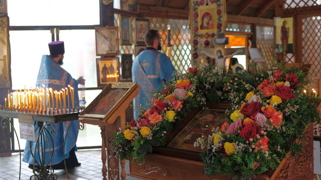 DSCF5572.JPG