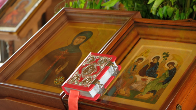 DSCF4580.JPG