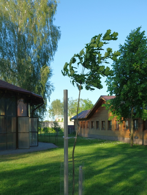 DSCF3788.JPG
