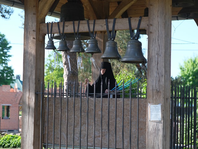 DSCF4483.JPG